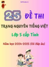 Bộ đề thi Trạng Nguyên Tiếng Việt Lớp 5 cấp tỉnh năm học 2024-2025 (25 Đề + Đáp án)